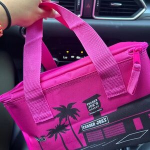 Mini Trader Joe’s Insulated Bag